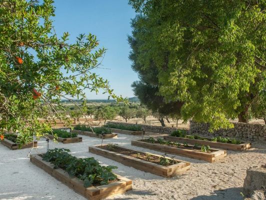 The Lodge Mallorca